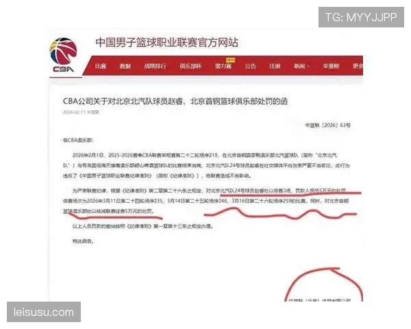 球迷冲突事件后续：DFB开出罚单并加强安保